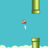 Brave Bird free online game