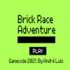 Brick race adventure free online game