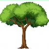 Money aux arbres free online game